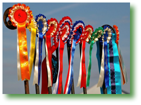 100PENTX-IMGP2823_IMGP2823.jpg